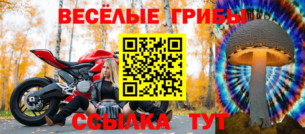 Псилоцибиновые грибы GOLDEN TEACHER Пенза