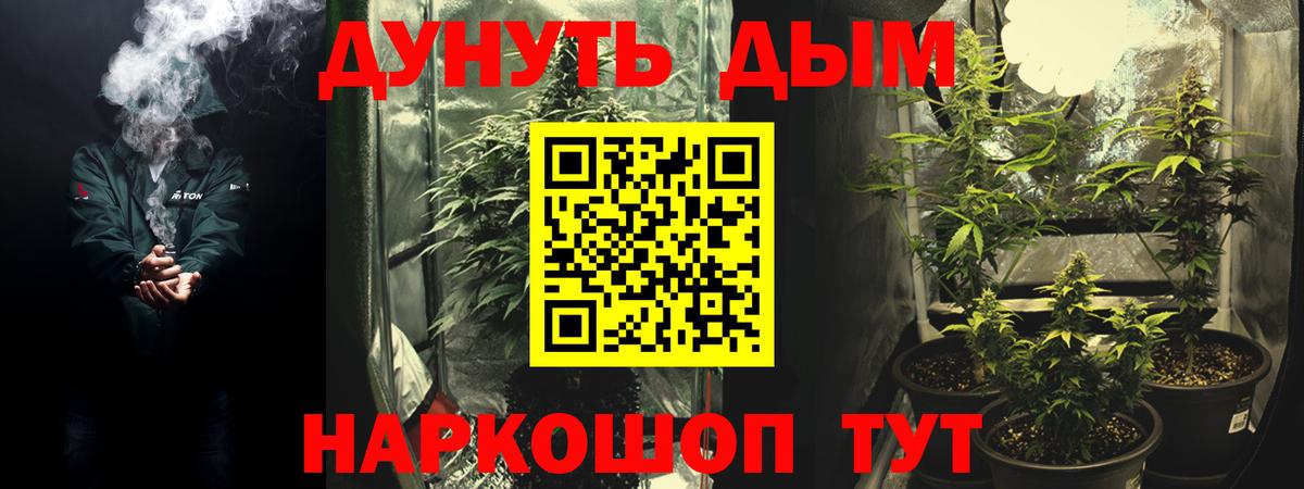 Конопля SATIVA & INDICA  Канабис планчик  Вход с VPN  Конопля VHQ  Пенза 